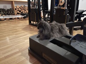 House | Fitness facility