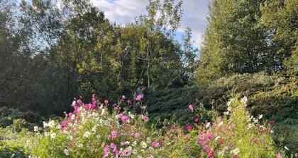 Vacation apartment in Thomm near Trier