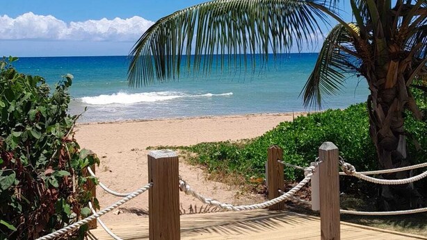 A wooden boardwalk leading to a beach with palm trees and ocean views.