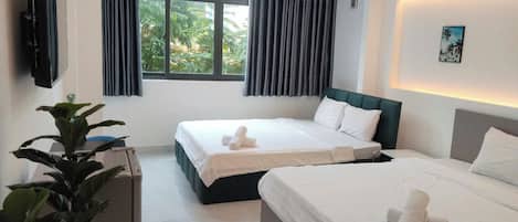Deluxe Double or Twin Room, City View