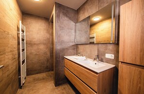 淋浴设施、吹风机、毛巾、卫生纸