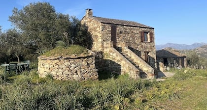 COUNTRY HOME FOR NATURE LOVERS