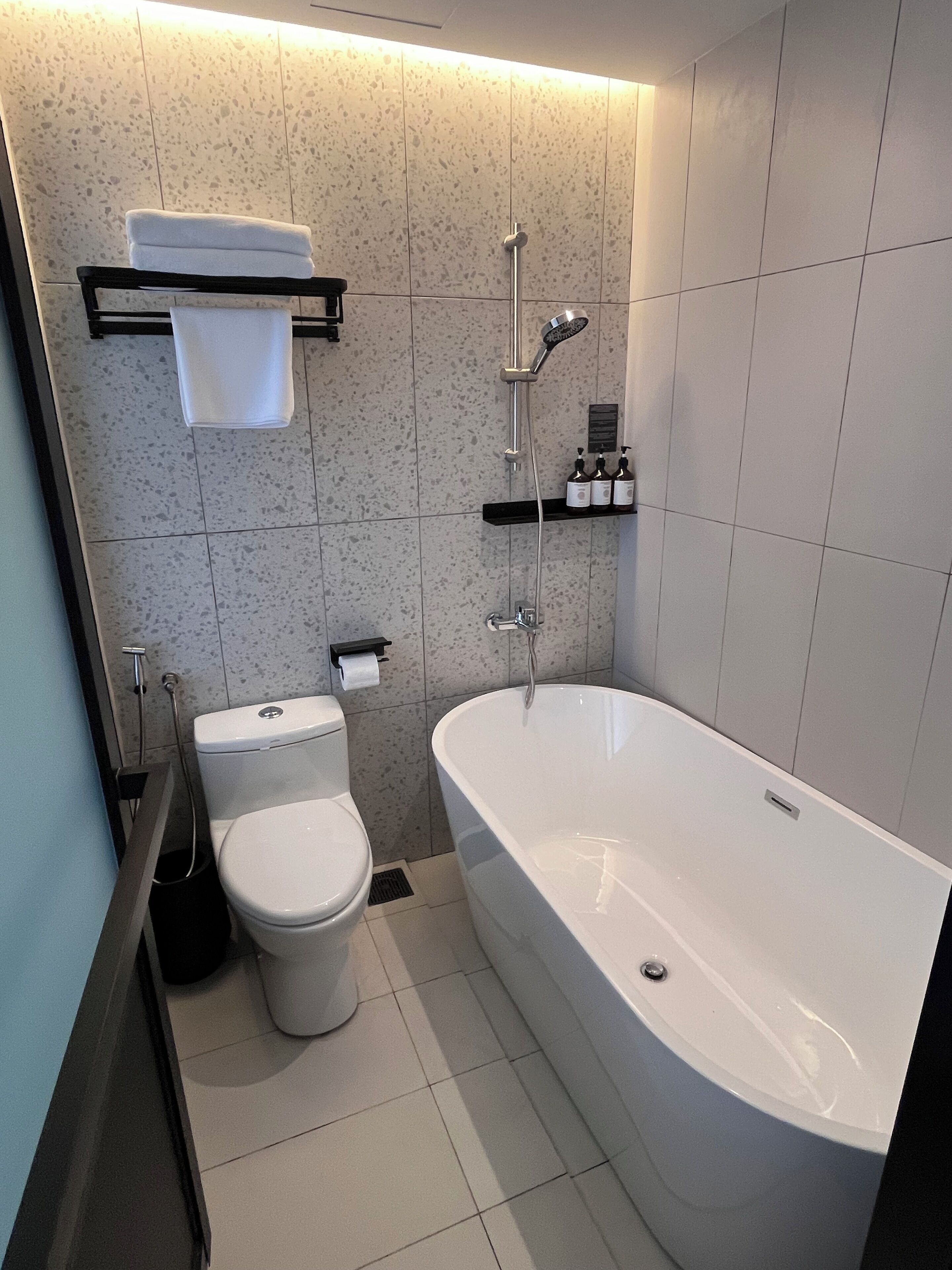 A modern bathroom with a white bathtub, a toilet, and a shower.