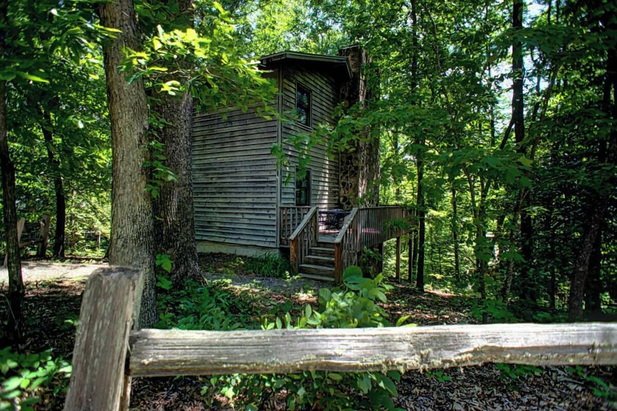 A rustic cabin surrounded by dense forest.