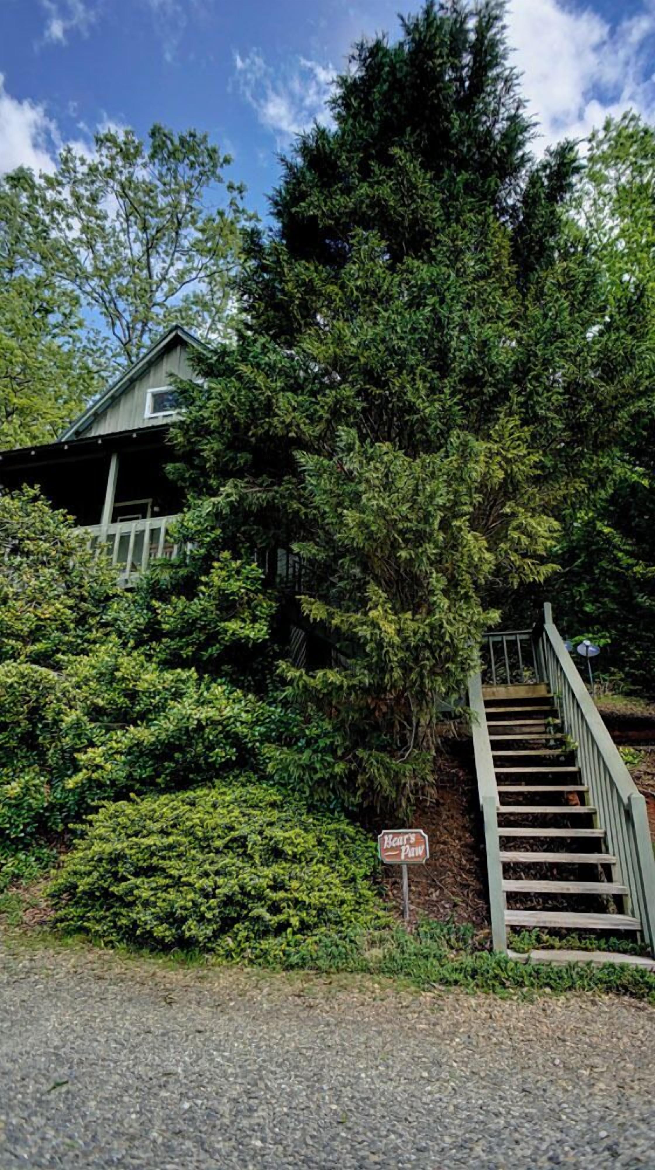 A wooden staircase leading to a house surrounded by dense greenery.