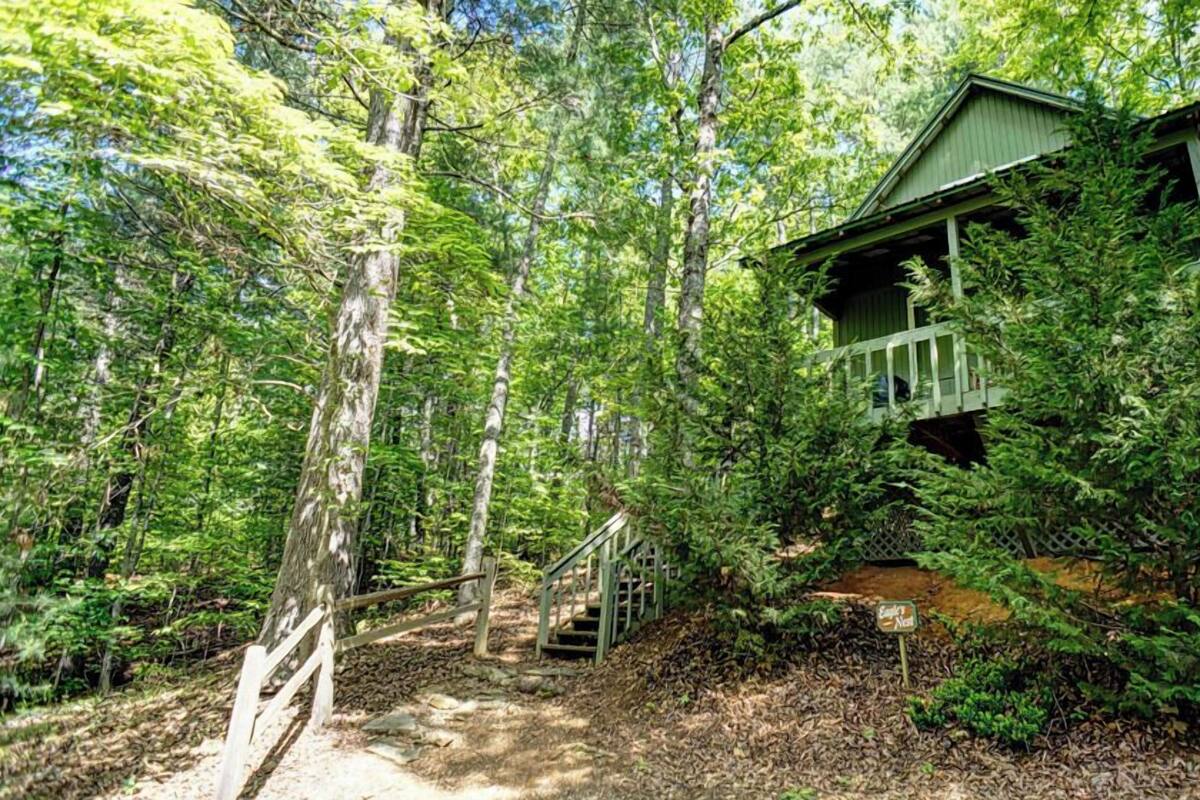 A cabin surrounded by dense forest, with a wooden staircase leading to a porch.