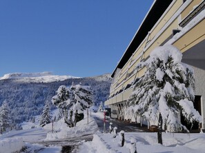 Ferienhaus | Unterkunftsgelände