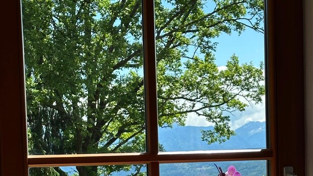Una ventana con una orquídea en maceta y vistas a un lago y montañas.