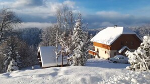 A snow-covered house with a car parked in front, surrounded by trees and a mountainous landscape.