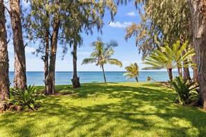 A grassy area with trees and a view of the ocean. - "Tidepool Getaway" | Oceanfront, A/C, Remodel 2026 (Kahuku)