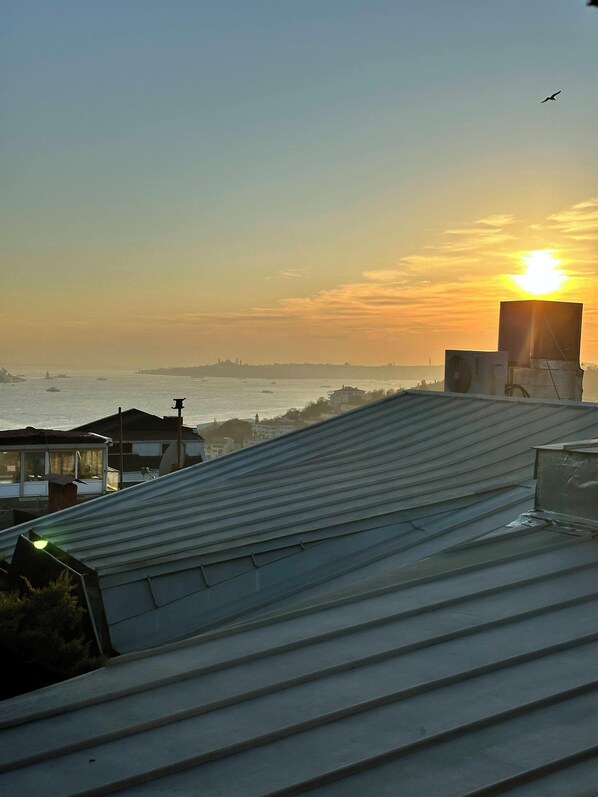 A rooftop with a metal roof, a satellite dish, and a large speaker. - İsthouse (Istanbul)