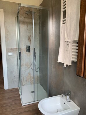 Shower, hair dryer, bidet, towels