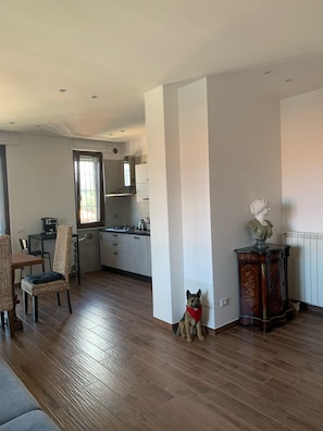 Interior - Cozy apartment 2 steps from Rome finely renovated and equipped (Marino)