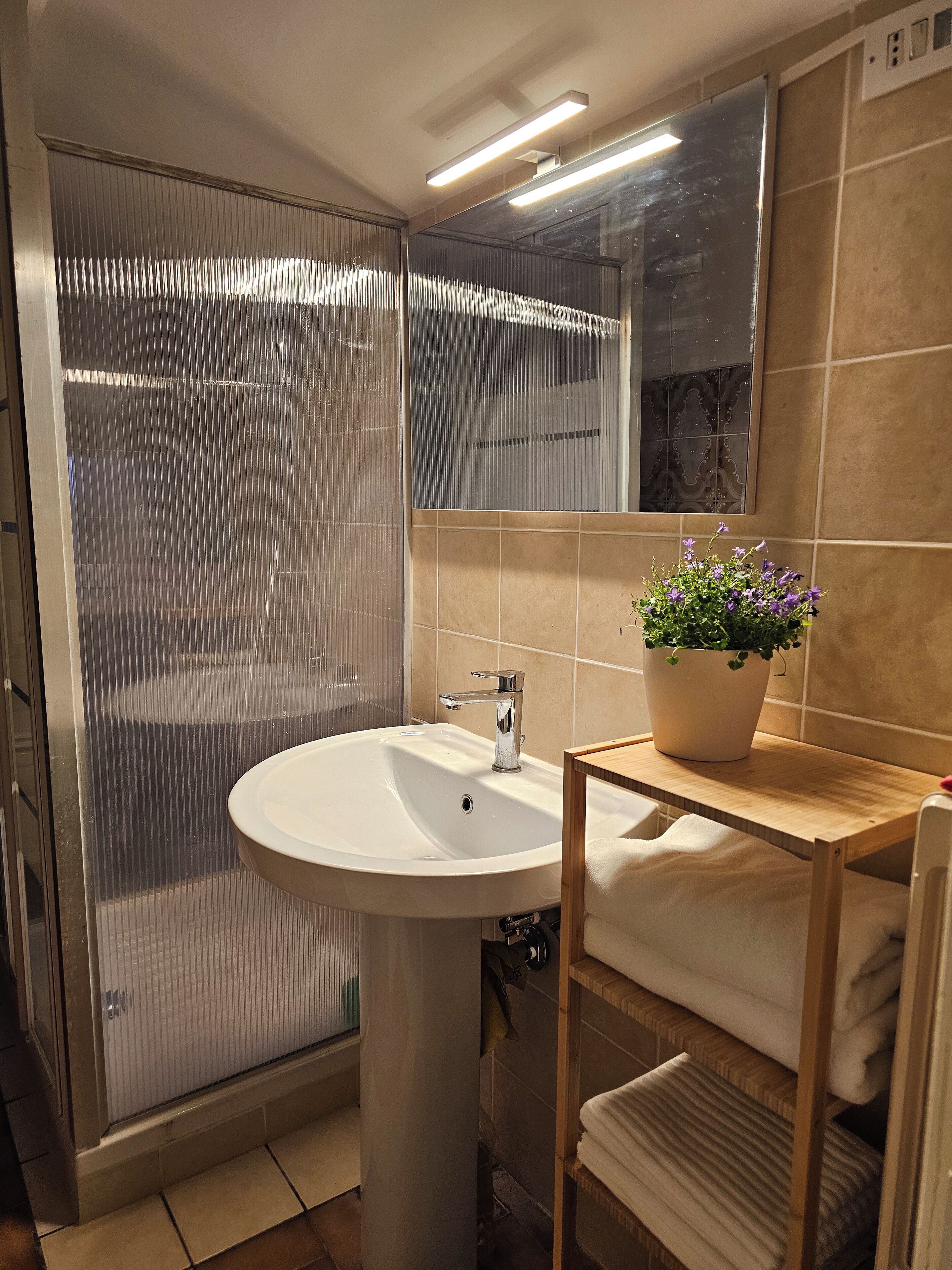 Ein Badezimmer mit einem weißen Waschbecken, einem Spiegel, einer Duschkabine und einem Topf mit einer Pflanze auf einem Holzregal.