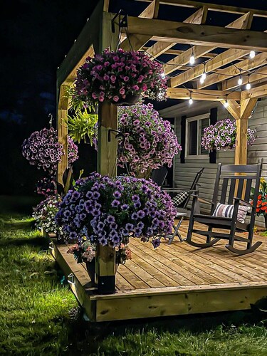 Musician's East Coast Bungalow - 10 mins to Downtown