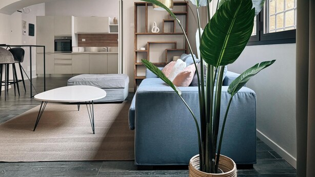 A modern living room with a sofa, a coffee table, and a large potted plant. - Tristano e Isotta: Bright Three-room 6 Adults (Bologna)