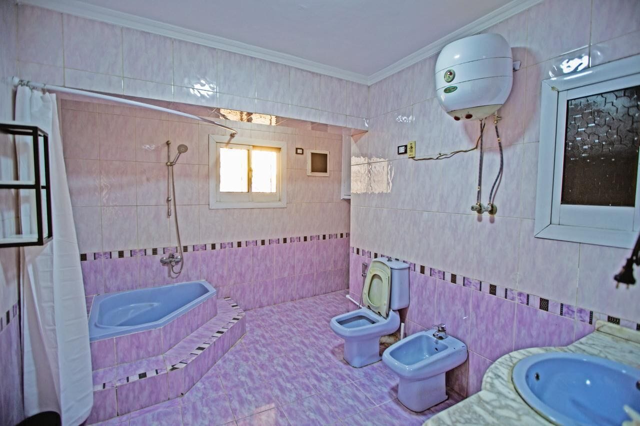 Foto - Nile X Hostel - Nile view