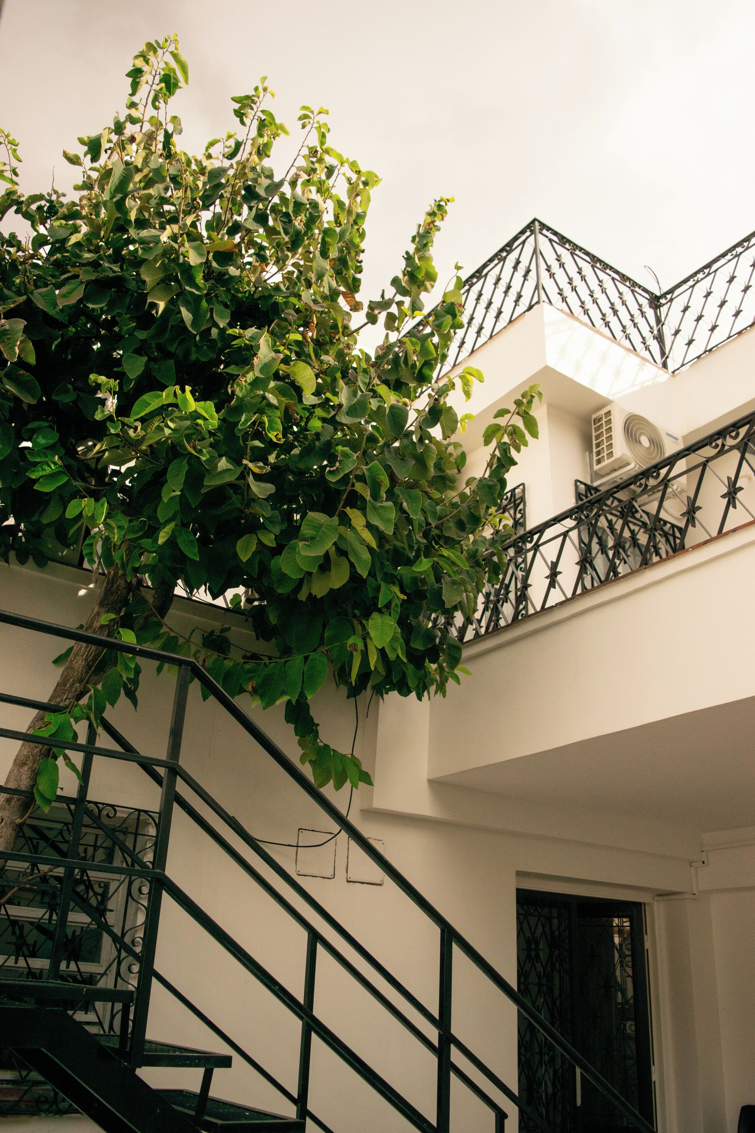 Foto - La Casona del Monumento