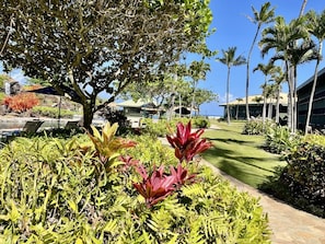 Un jardín ajardinado con un sendero, palmeras y un edificio al fondo.