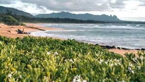 A beach with green vegetation in the foreground and mountains in the background. - Top Floor Ocean View at 4-Star Kauai Resort. Pools & Slides (Lihue)