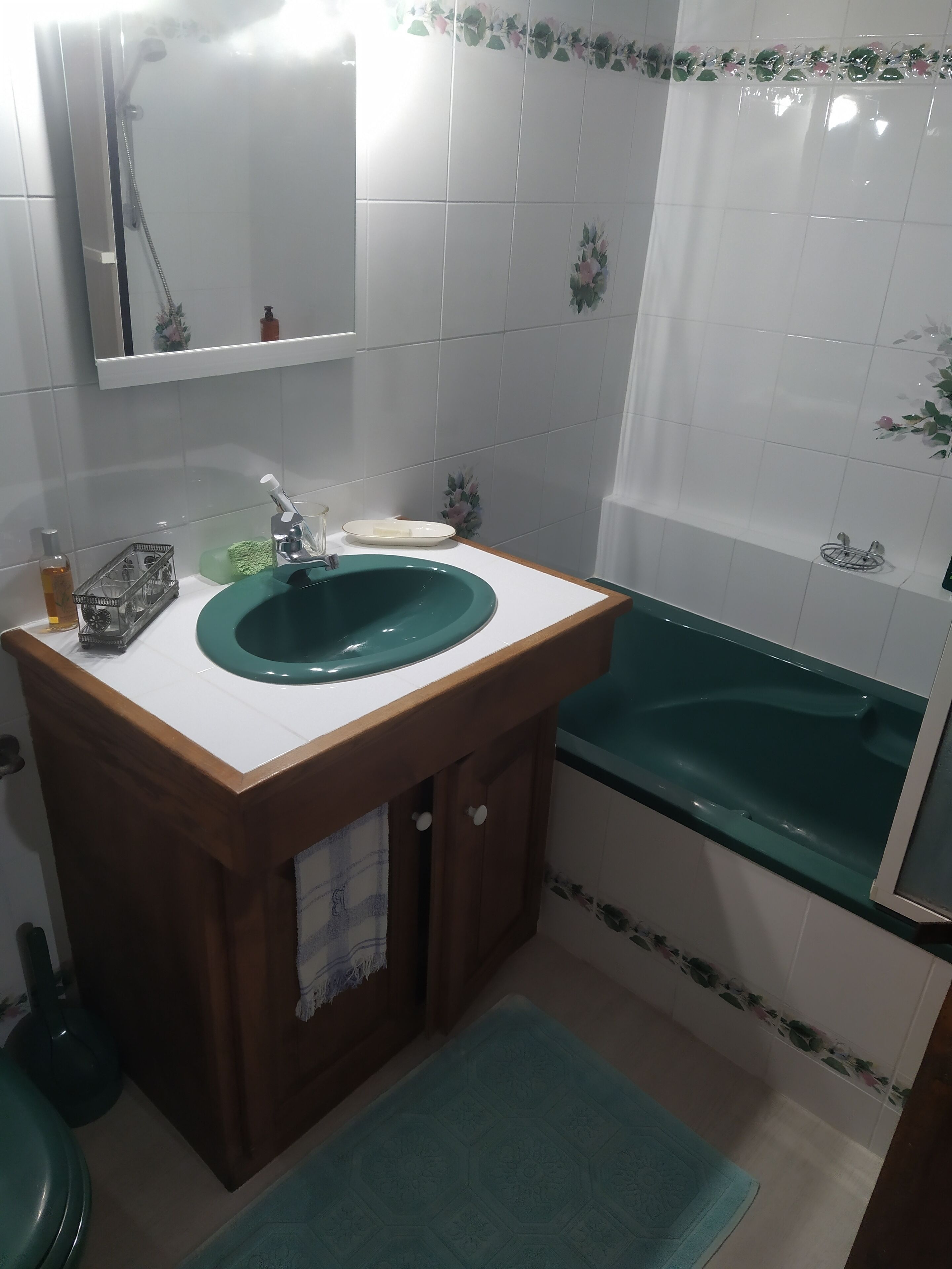 Hair dryer, towels, soap, toilet paper