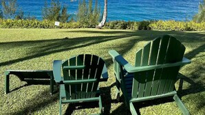 A grassy area with two green Adirondack chairs facing a palm tree and the ocean.