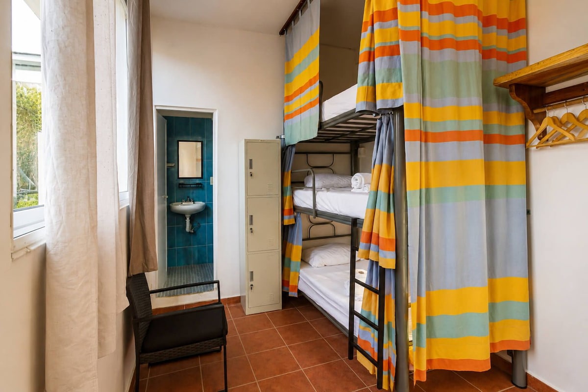 Literie hypoallergénique, surmatelas, minibar, bureau