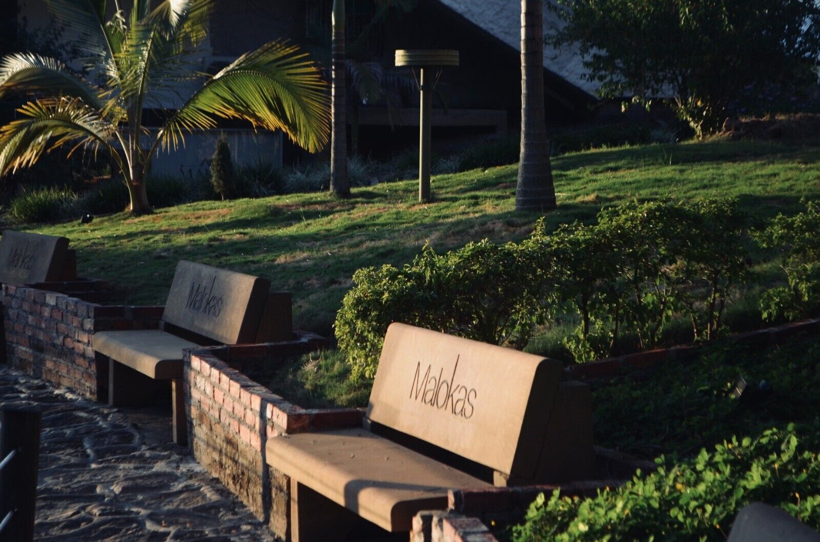Outdoor seating with benches labeled "Malokas" in a landscaped area with grass and palm trees.