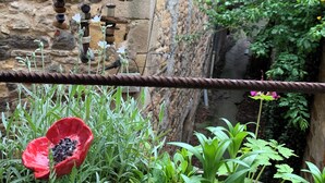 Un rústico edificio de piedra con un molino de madera, abundante vegetación y una flor de amapola roja.