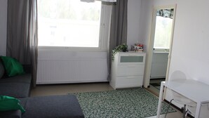 A room with a window, a radiator, a white dresser, a mirror, a green patterned rug, and a gray sofa. - Flexible myllykallio (Jyväskylä)