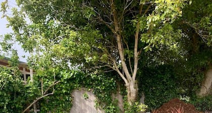 The Garden Alley View