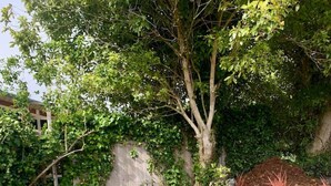 An outdoor seating area with two gray Adirondack chairs and a small round table, surrounded by a gravel border and potted plants. - The Garden Alley View (Arcata)