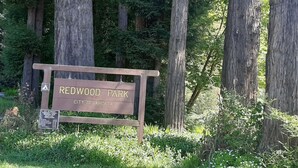 A wooden sign for Redwood Park in the City of Arcata. - The Garden Alley View (Arcata)