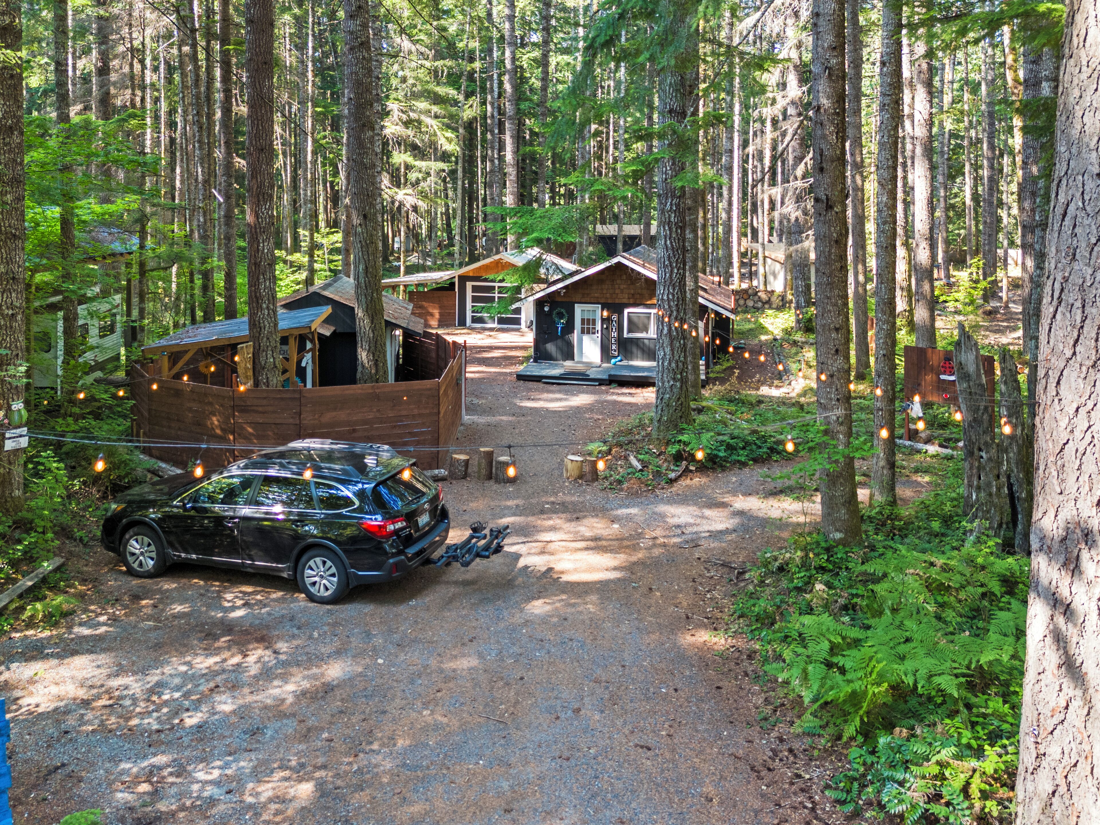 A forested area with a gravel path leading to a cabin-style building with a porch.