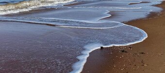 A luxury beachside villa with comfortable interior for families & friends!