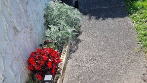A paved pathway adjacent to a white wall with a planter box containing red flowers and green foliage.
