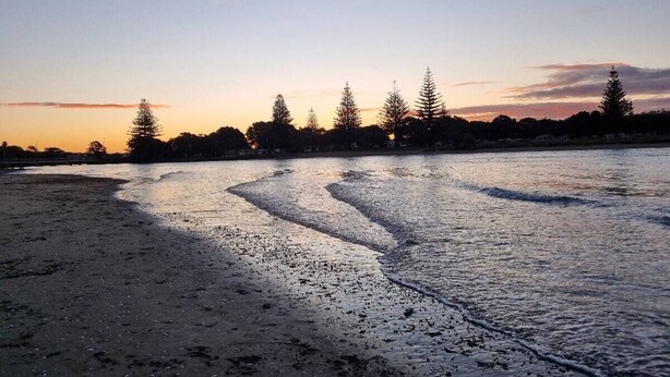 A beach with a clear sky, trees, and a calm sea.