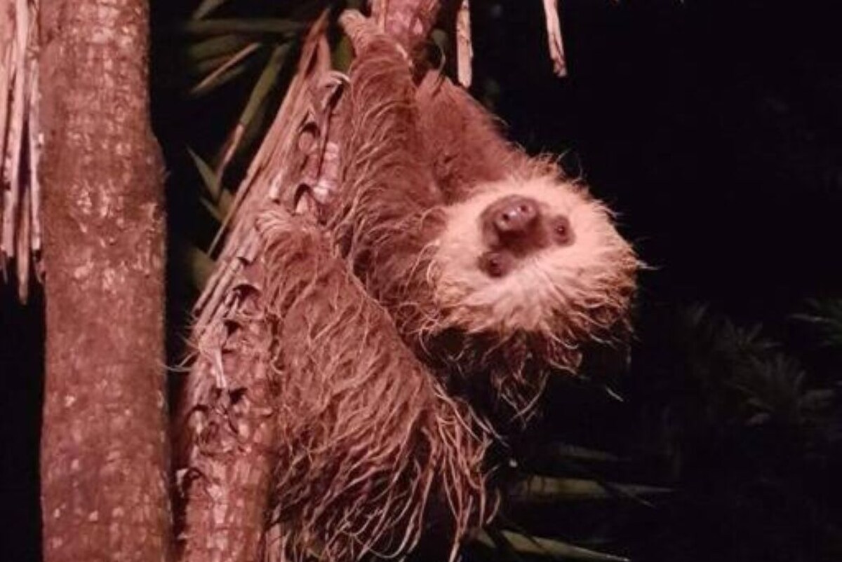 Värdens profilbild