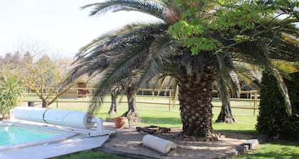 EXCEPTIONAL BED & BREAKFAST IN A PROVENCAL MAS with gourmet breakfast