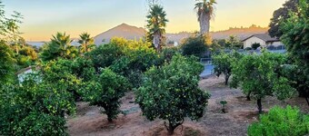 Spacious home with Spa, Private Driveway/Entrance, Mountain View, near SD Safari