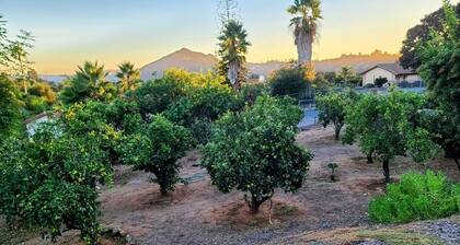 Spacious home with Spa, Private Driveway/Entrance, Mountain View, near SD Safari