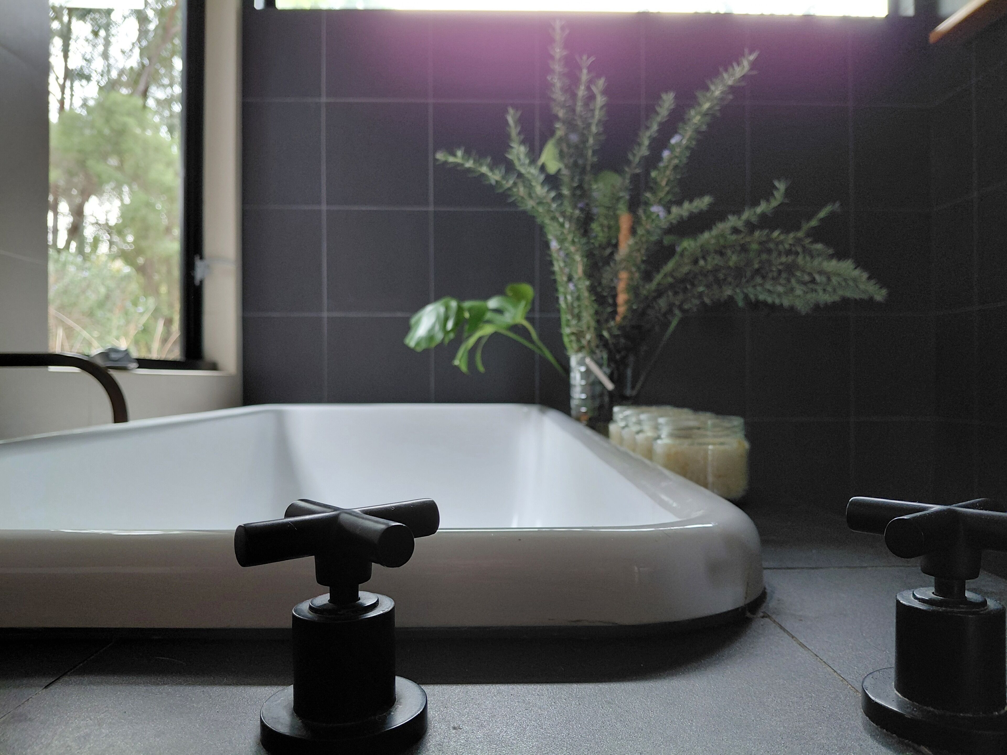 A bathroom with a bathtub, a potted plant, and a window.