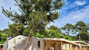 Une maison mobile avec une véranda et un grand arbre devant.