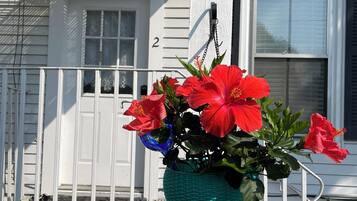 DĂ©tail de lâextĂ©rieur