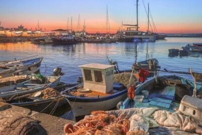 Caroline's Home everyone's home, we accommodate up to 8 people