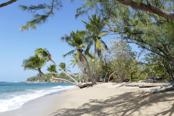 Tumbonas y toallas de playa