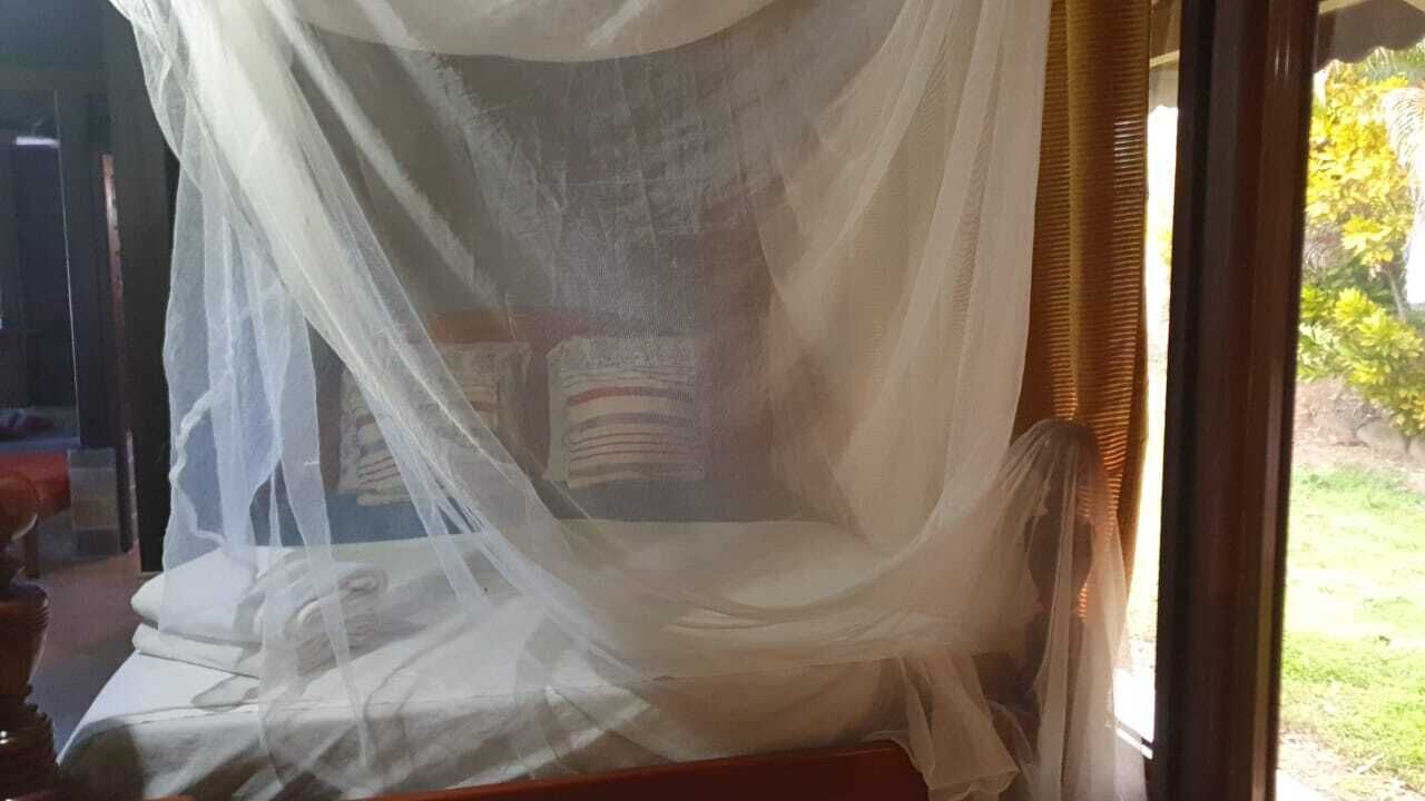 A bed with a white canopy and a view of a garden outside.