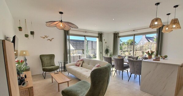 电视、DVD 播放器