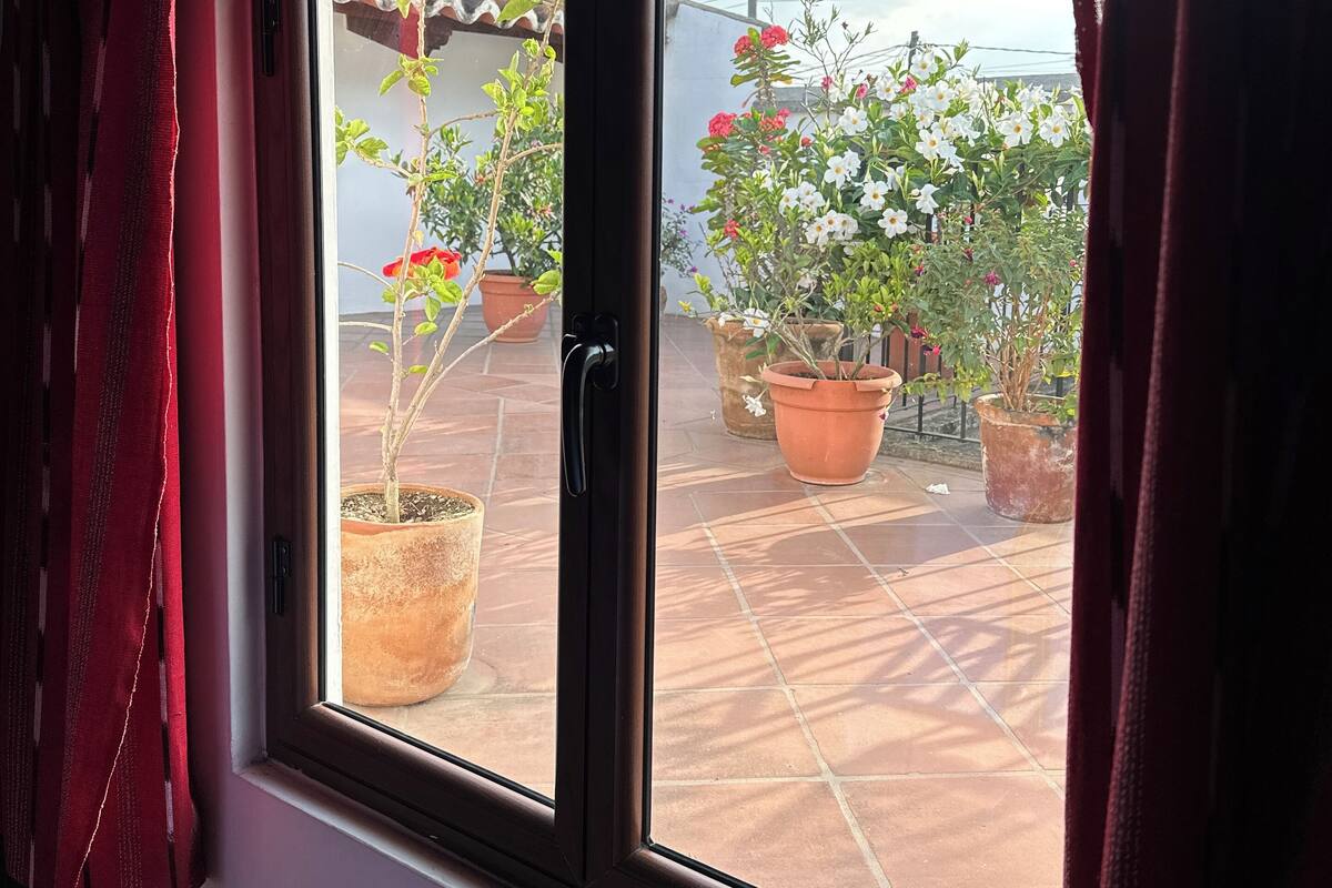 Junior Suite, Garden View | Pemandangan halaman dalam