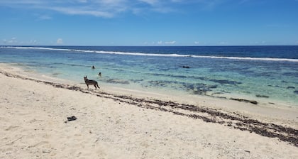 3 ' from a magnificent beach Fare de 55M2 Ideally located for golfers.